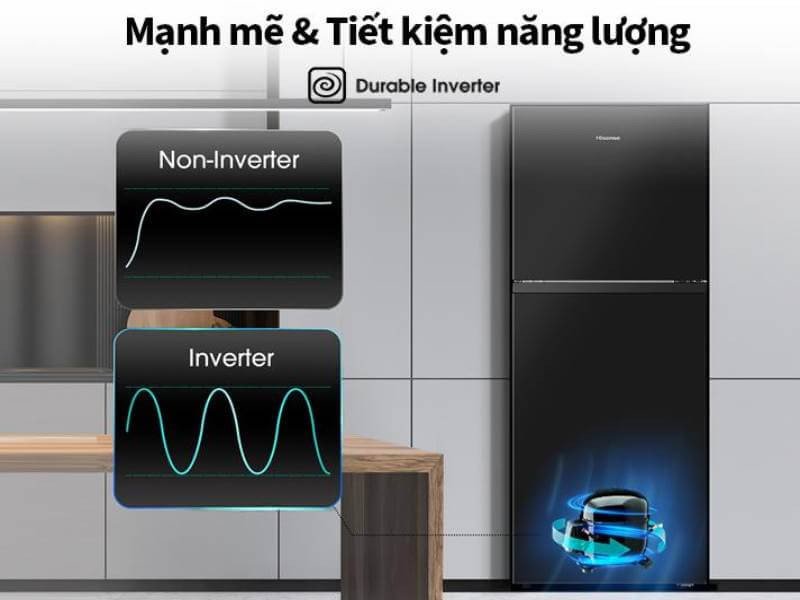 Tủ lạnh Hisense inverter RT256N4EBN (Dung tích 205 lít, 2 cánh)