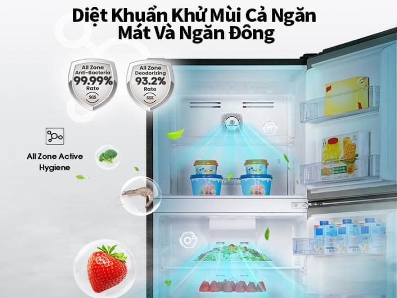 Tủ lạnh Hisense inverter RT256N4EBN (Dung tích 205 lít, 2 cánh)